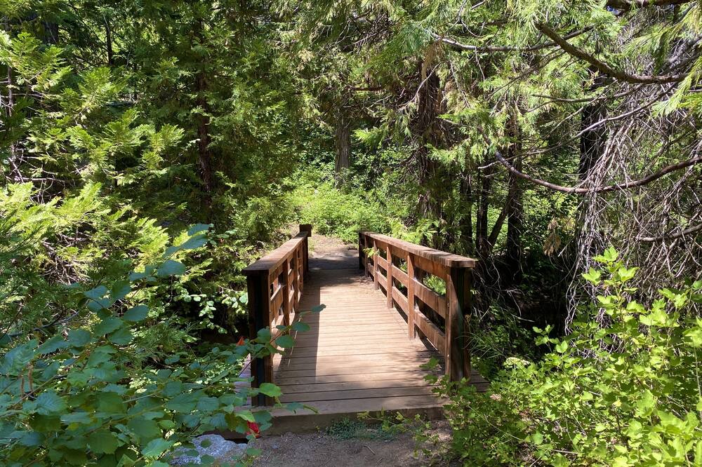 Photo of Others in Shaver Lake