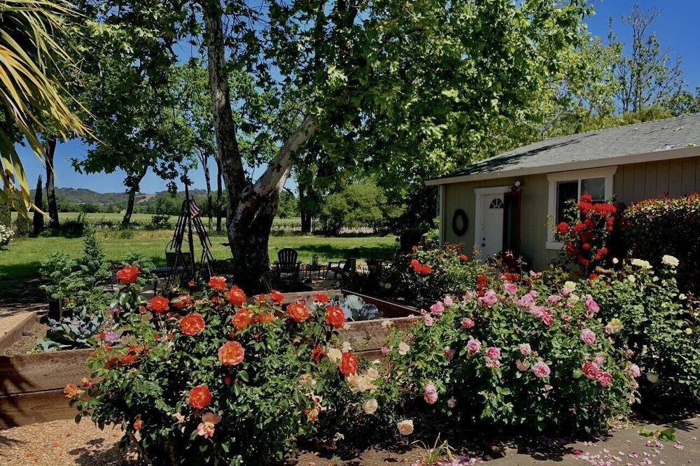 Photo of Outdoor in Santa Rosa