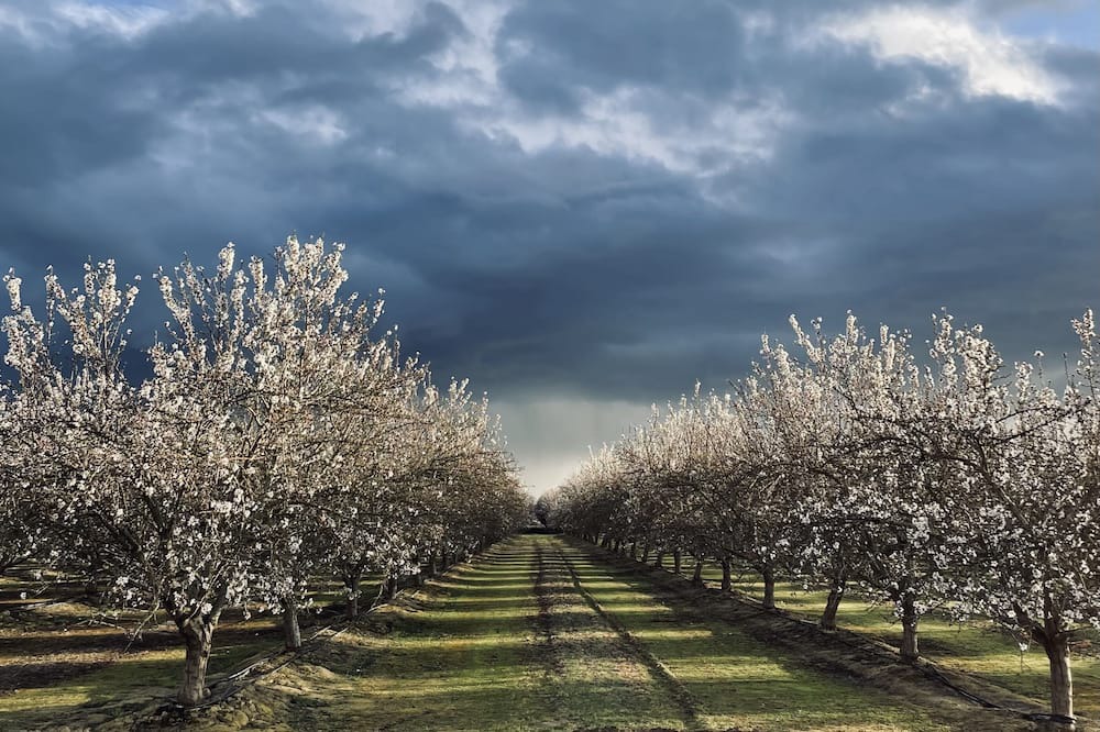 Photo of Outdoor in Dinuba