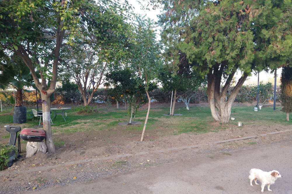 Photo of Outdoor in Turlock