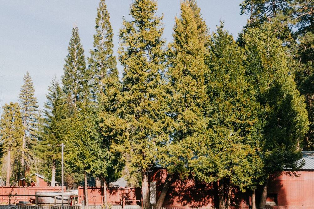 Photo of Outdoor in Long Barn