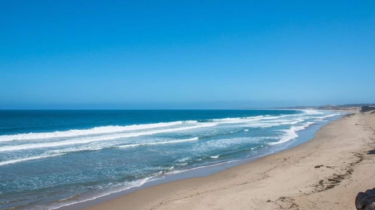 Photo of Others in Monterey
