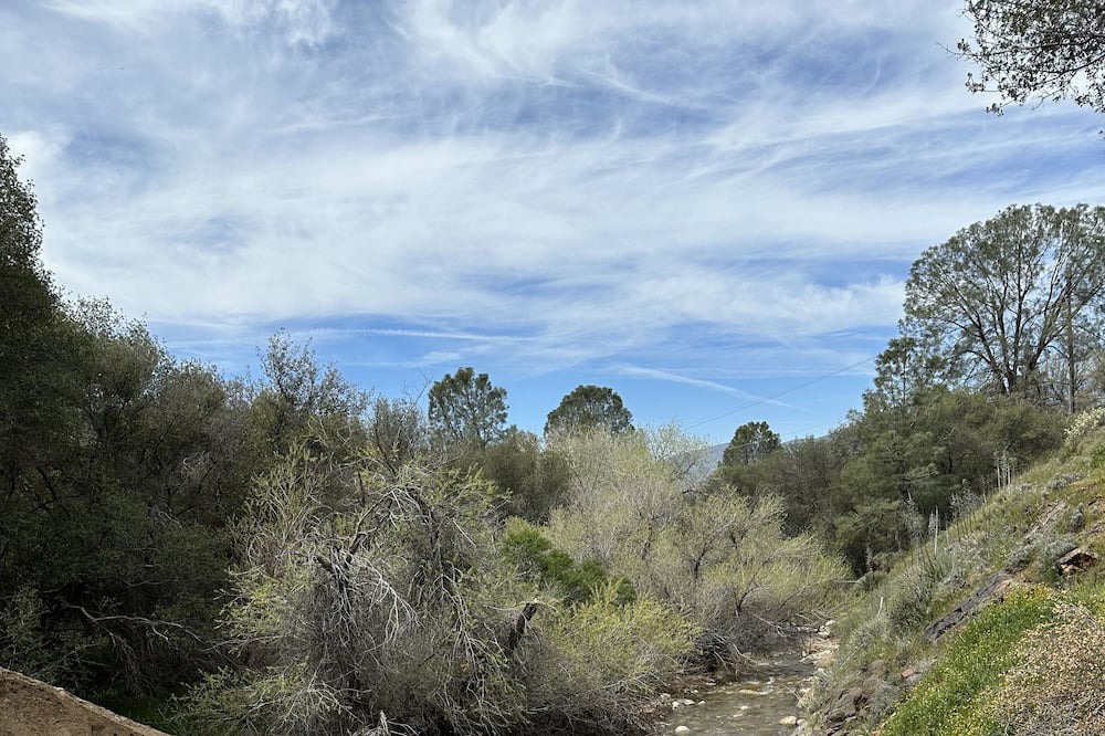 Photo of Outdoor in Bodfish