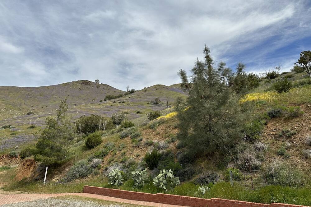 Photo of Outdoor in Bodfish
