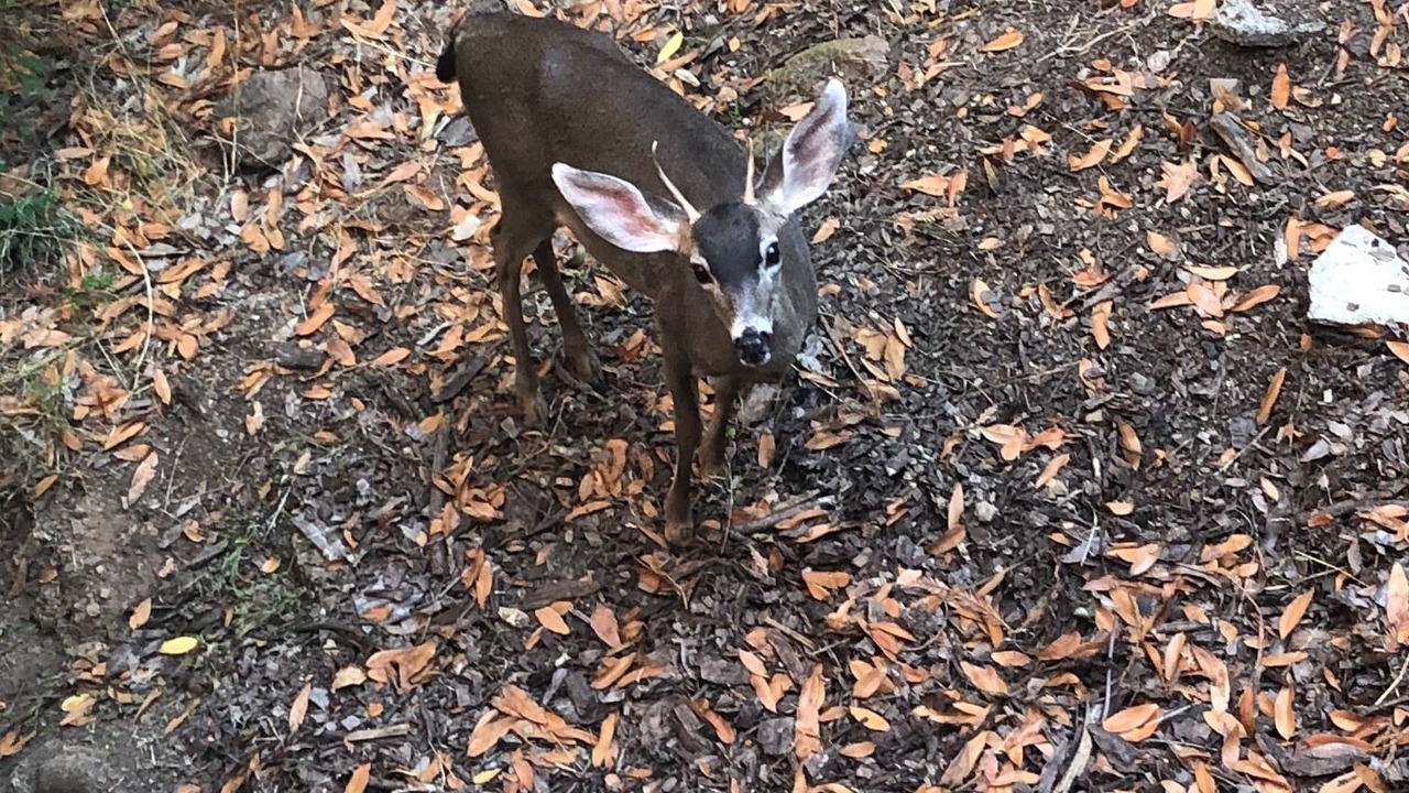 Photo of Outdoor in Fairfax