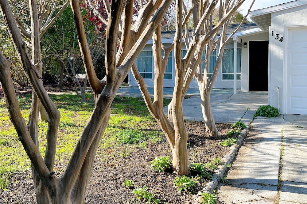 Photo of Outdoor in Rex Manor