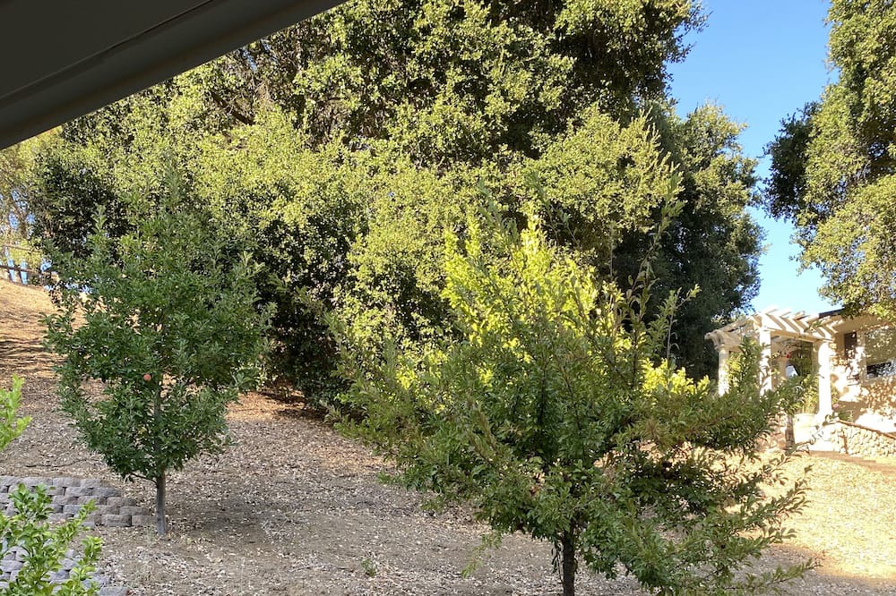 Photo of Outdoor in Los Gatos