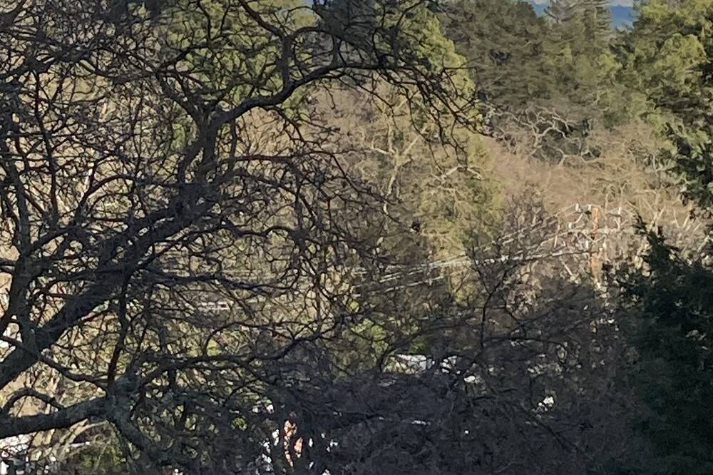 Photo of Others in Stanley