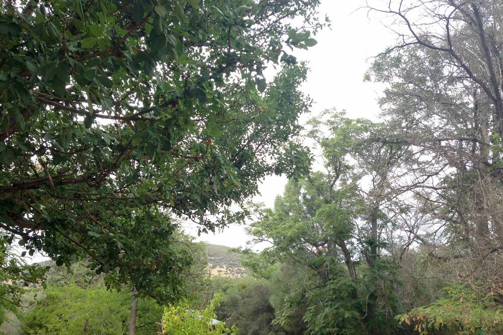 Photo of Outdoor in Lake Hughes