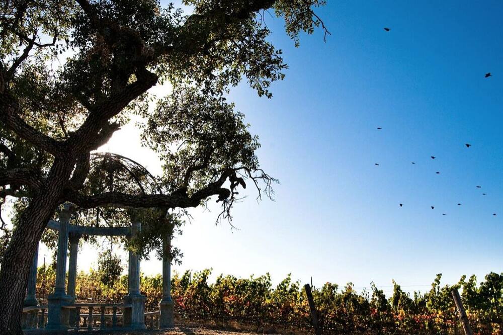 Photo of Outdoor in Napa
