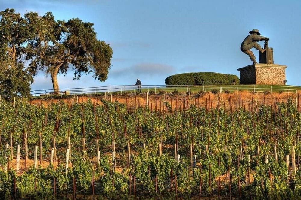 Photo of Outdoor in Napa