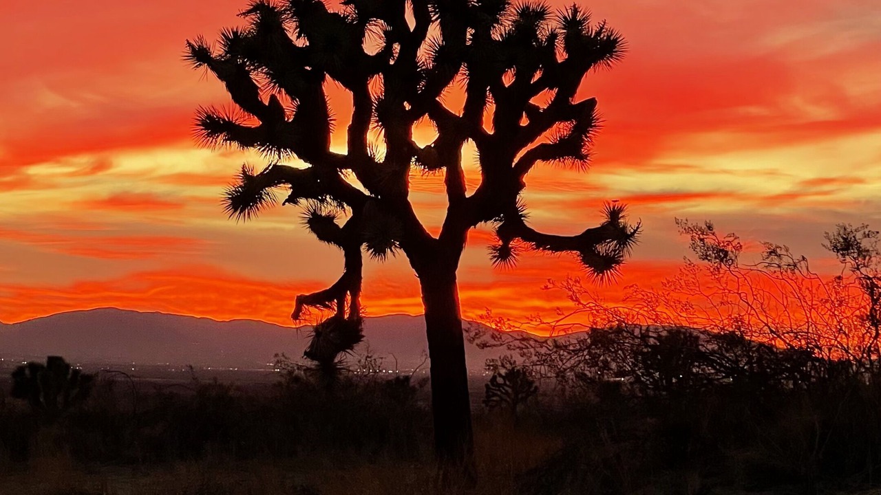 Photo of Others in Palmdale