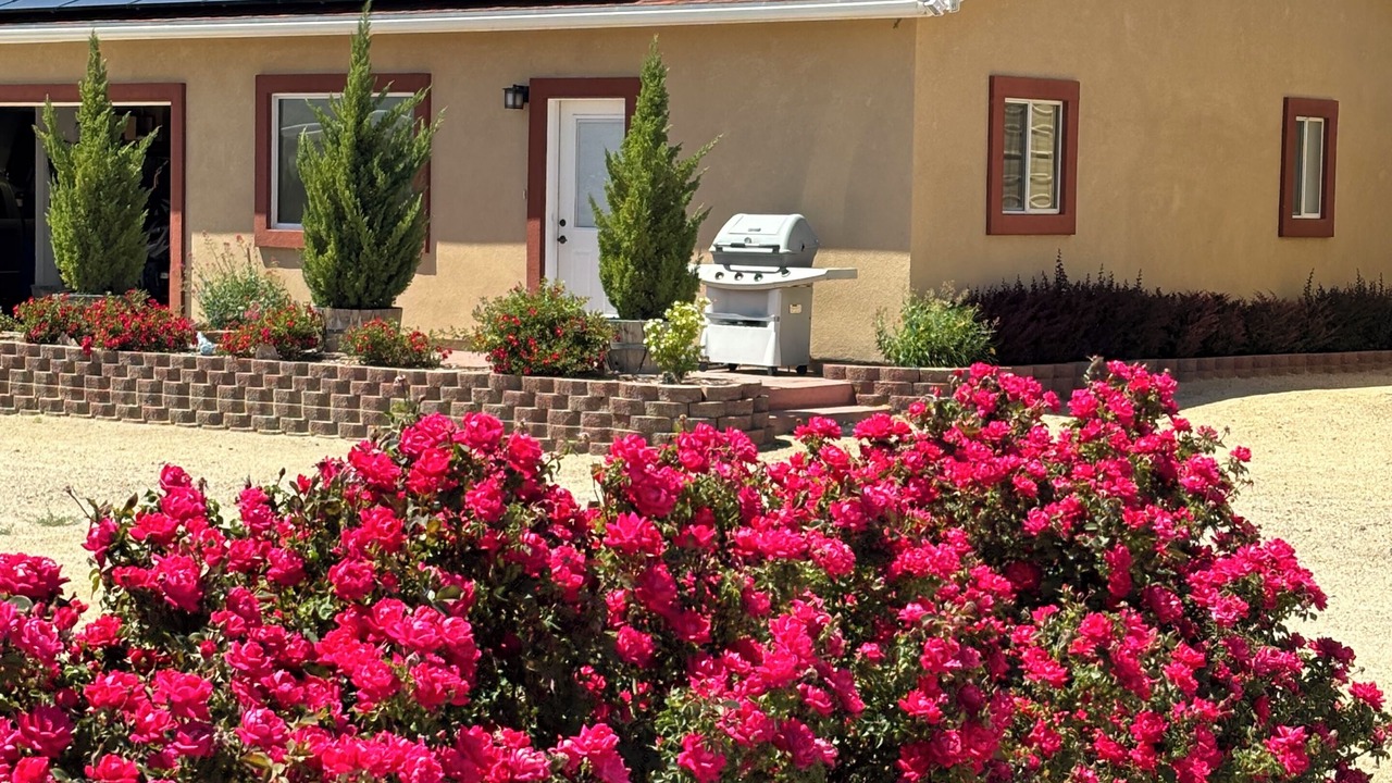 Photo of Outdoor in Mesa