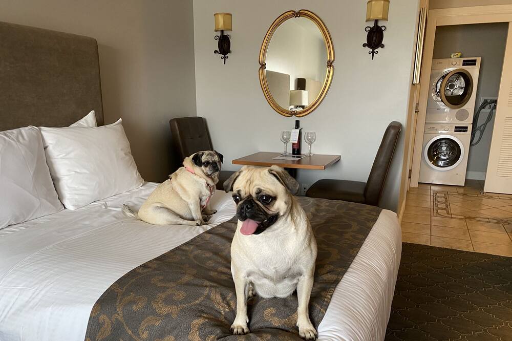 Photo of Bedroom in Napa