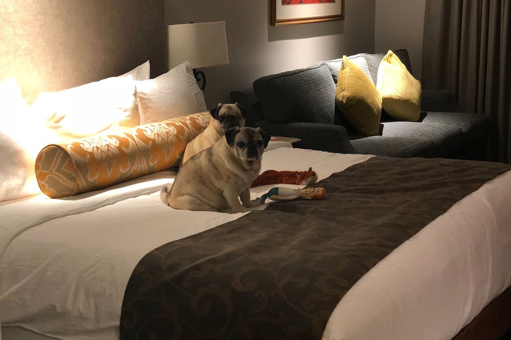 Photo of Bedroom in Napa