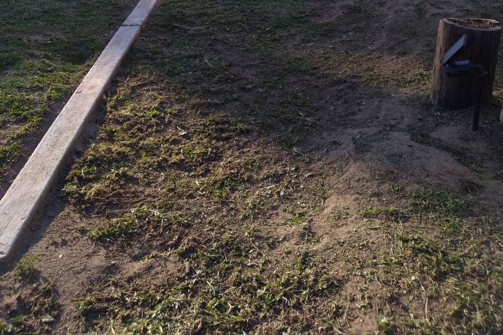 Photo of Outdoor in Raisin