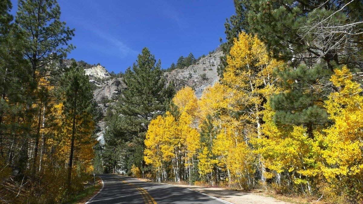 Photo of Outdoor in Bear Valley