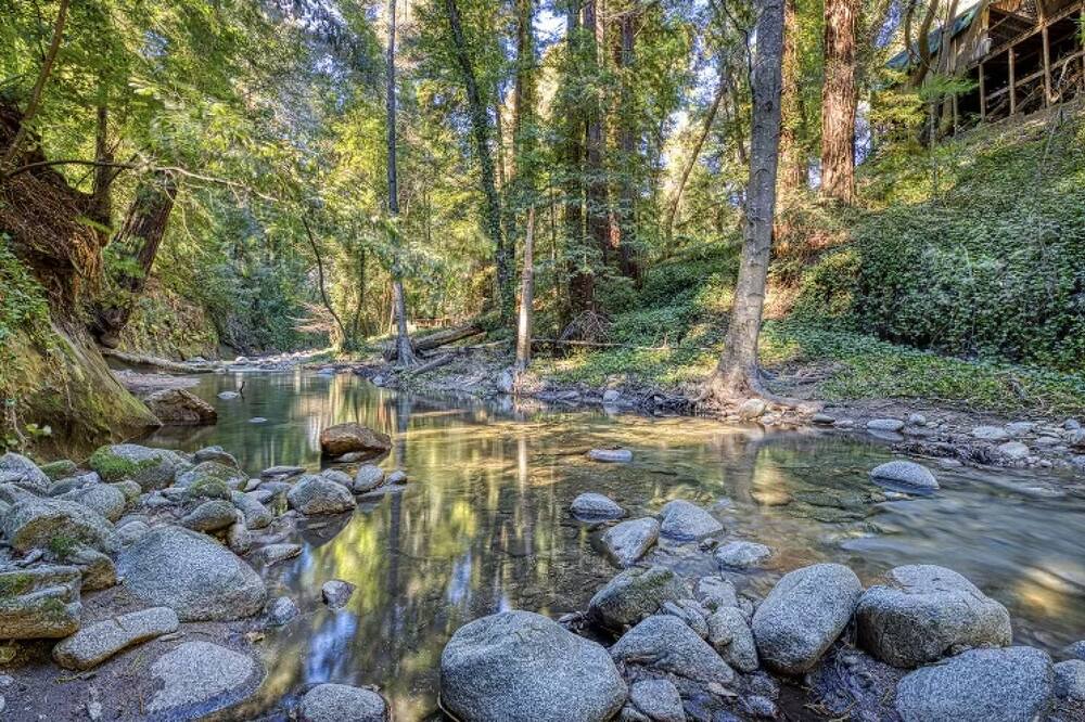 Photo of Outdoor in Boulder Creek