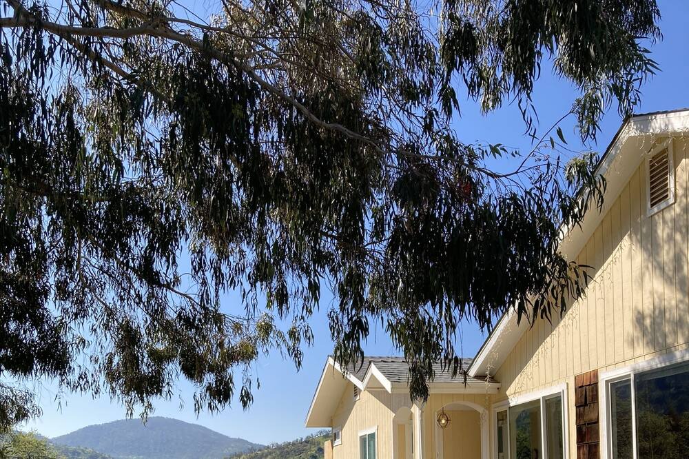 Photo of Others in Squaw Valley