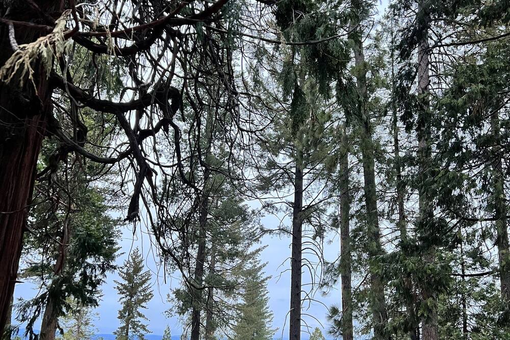 Photo of Outdoor in Sierra Village