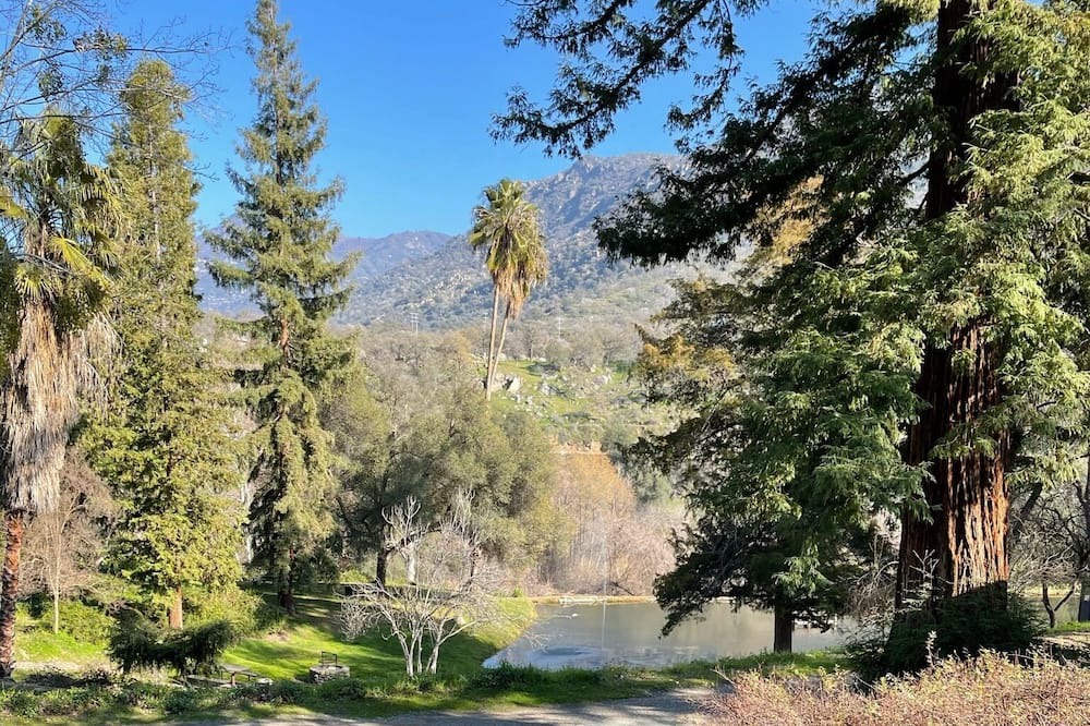 Photo of Outdoor in Three Rivers