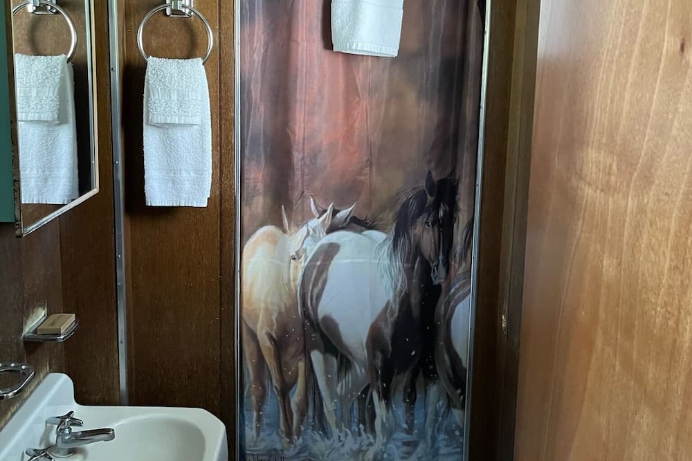 Photo of Bathroom in Three Rivers