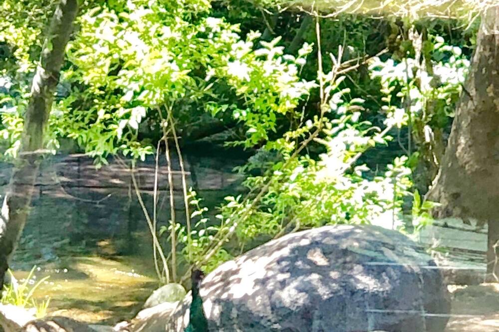 Photo of Outdoor in Springville