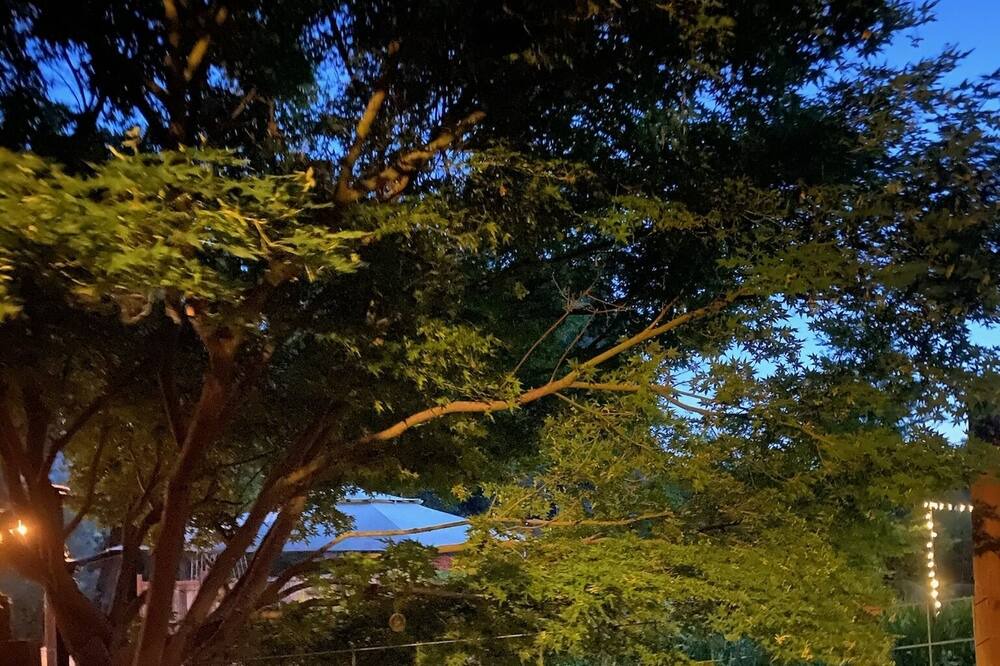 Photo of Outdoor in Springville
