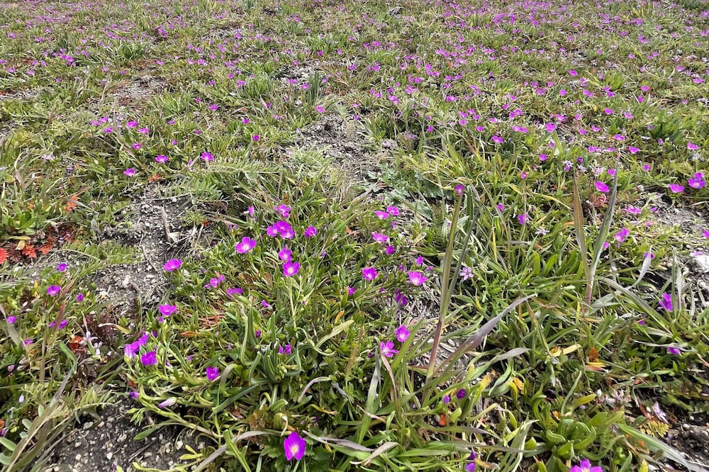 Photo of Outdoor in Creston