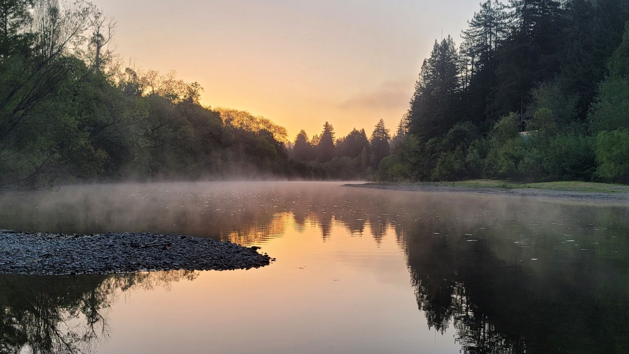 Photo of Outdoor in Guerneville
