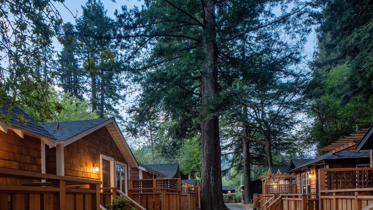 Photo of Others in Guerneville