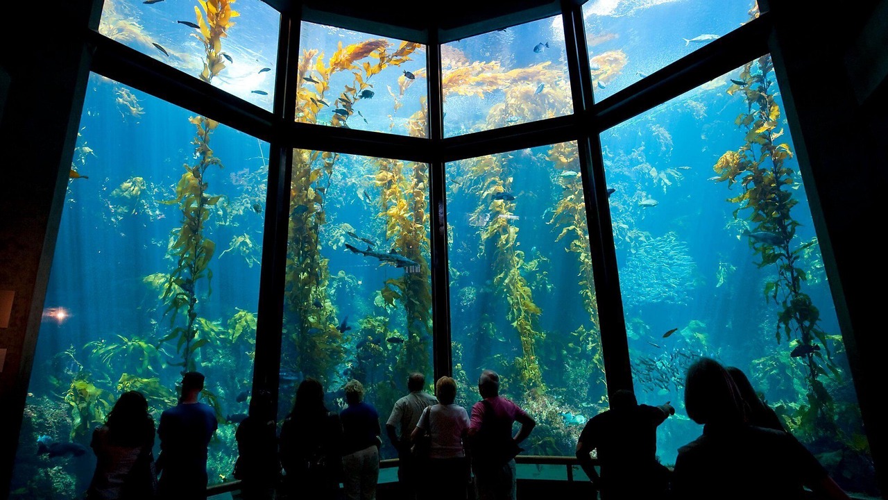 Photo of Others in Monterey
