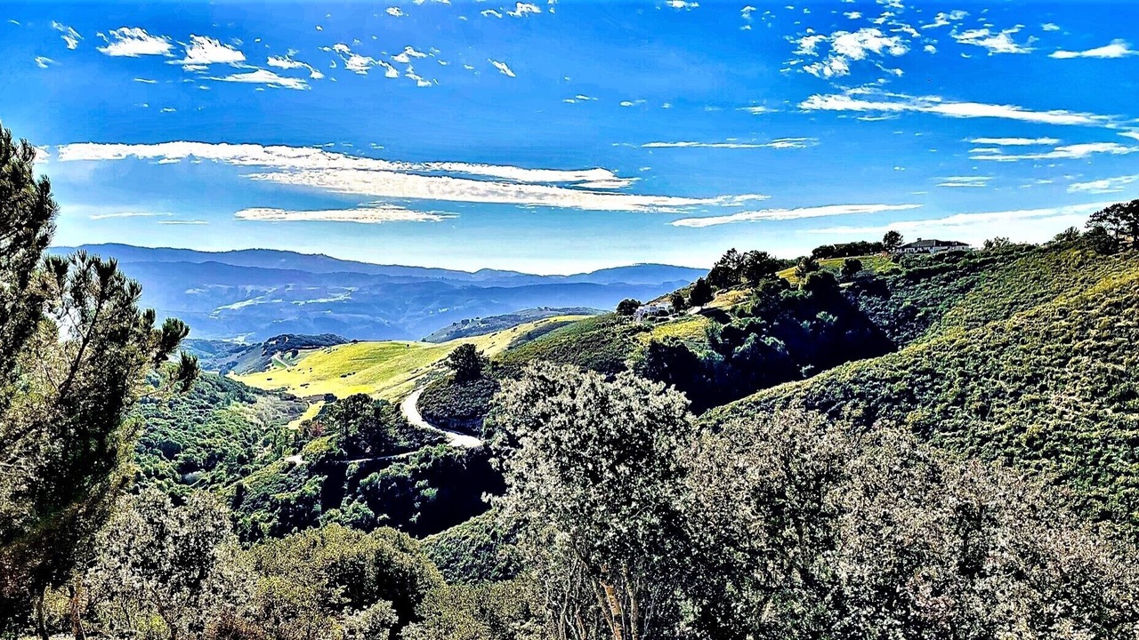 Photo of Outdoor in Monterey