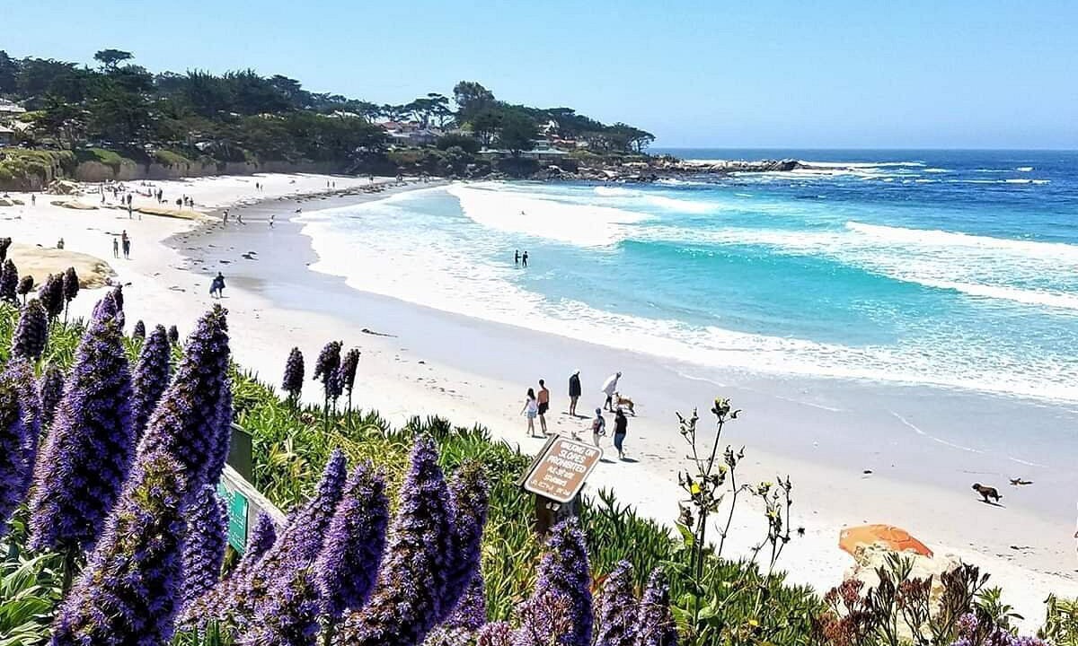 Photo of Others in Monterey