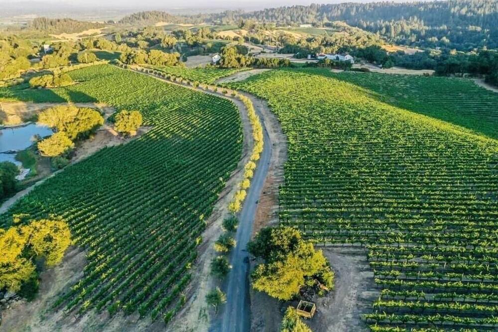 Photo of Others in Santa Rosa