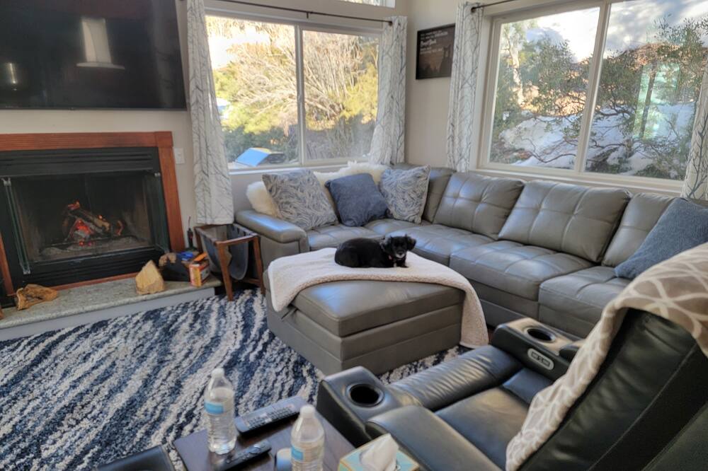 Photo of Livingroom in Mount Charleston