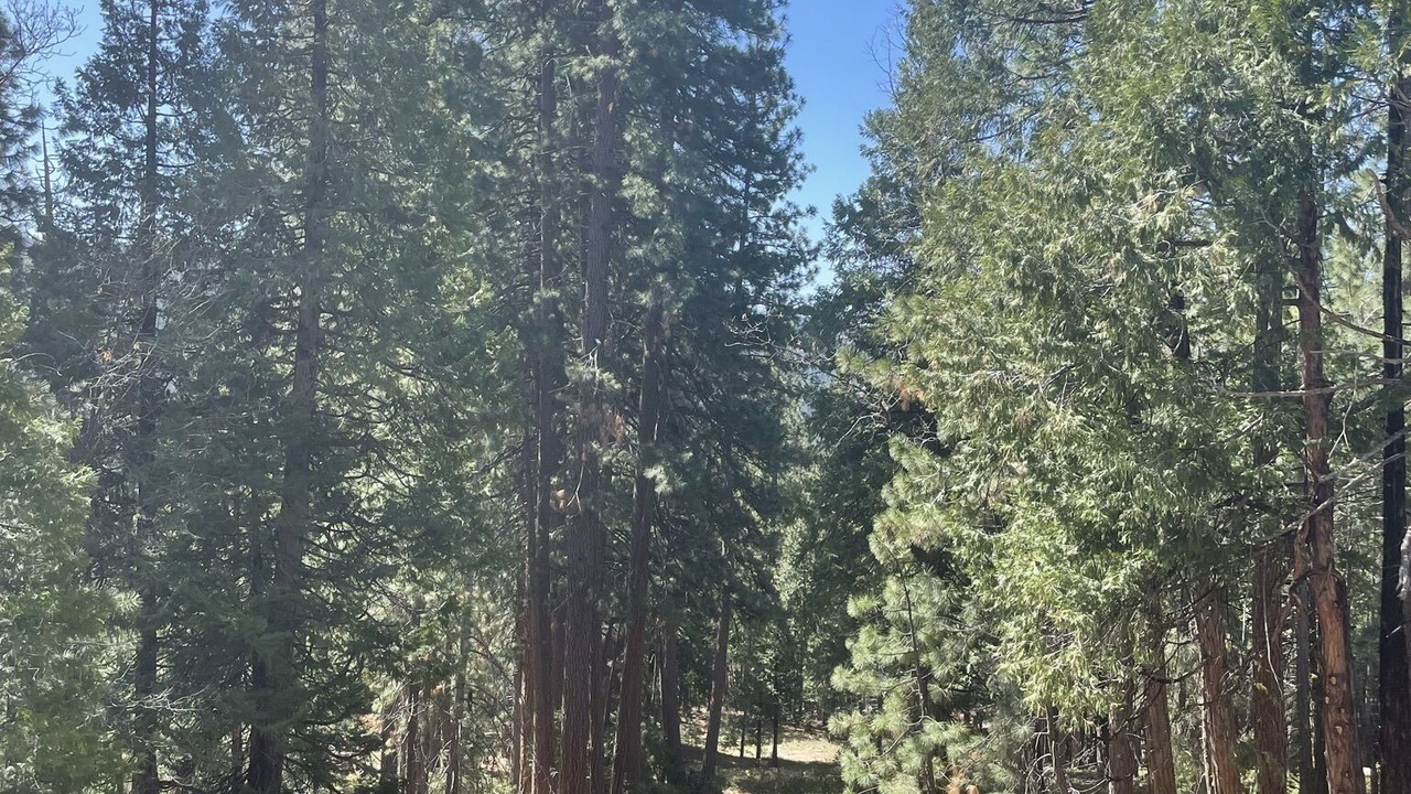 Photo of Outdoor in Long Barn
