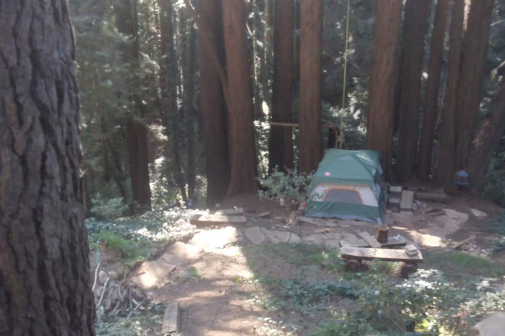 Photo of Outdoor in Redwood City