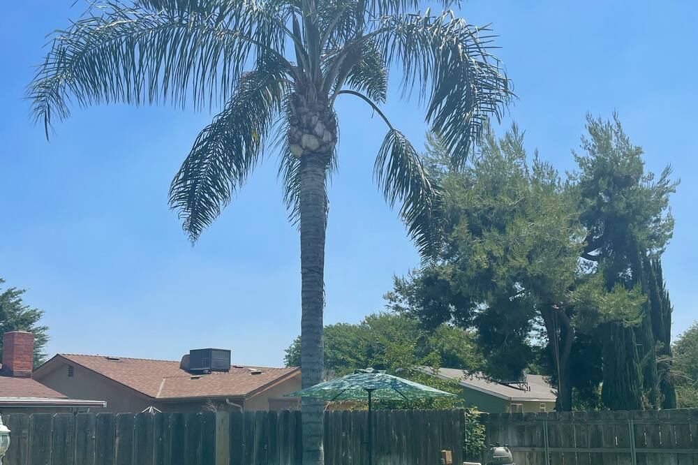 Photo of Outdoor in Tulare