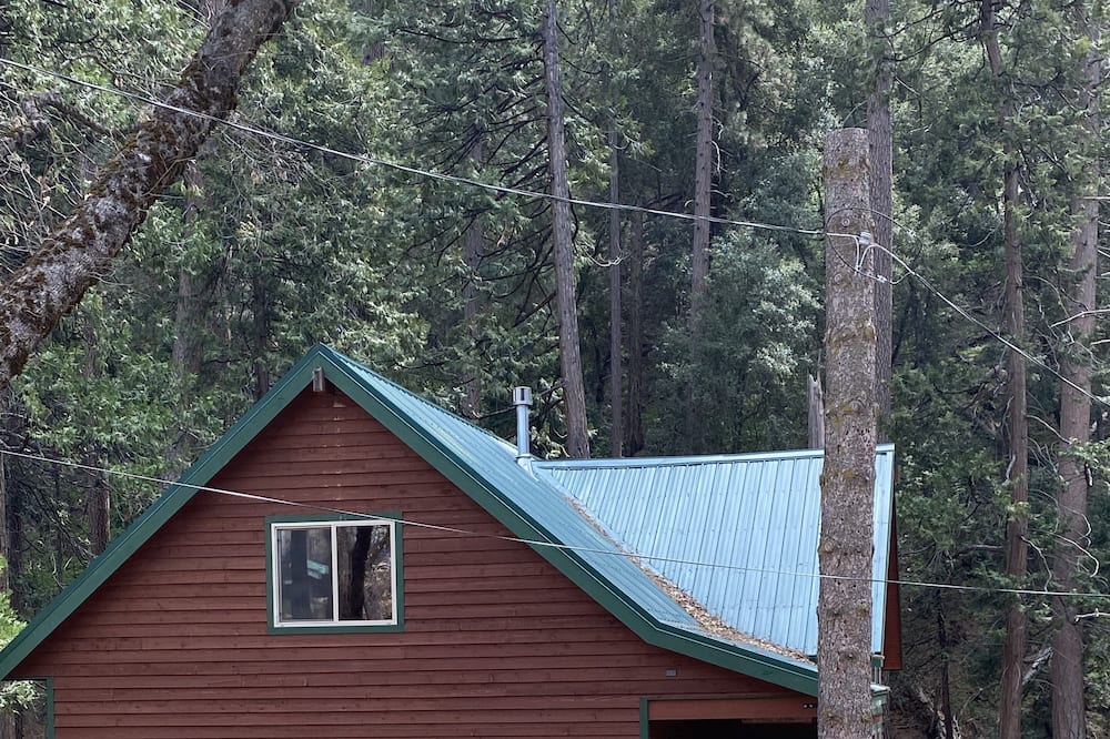 Photo of Outdoor in Posey