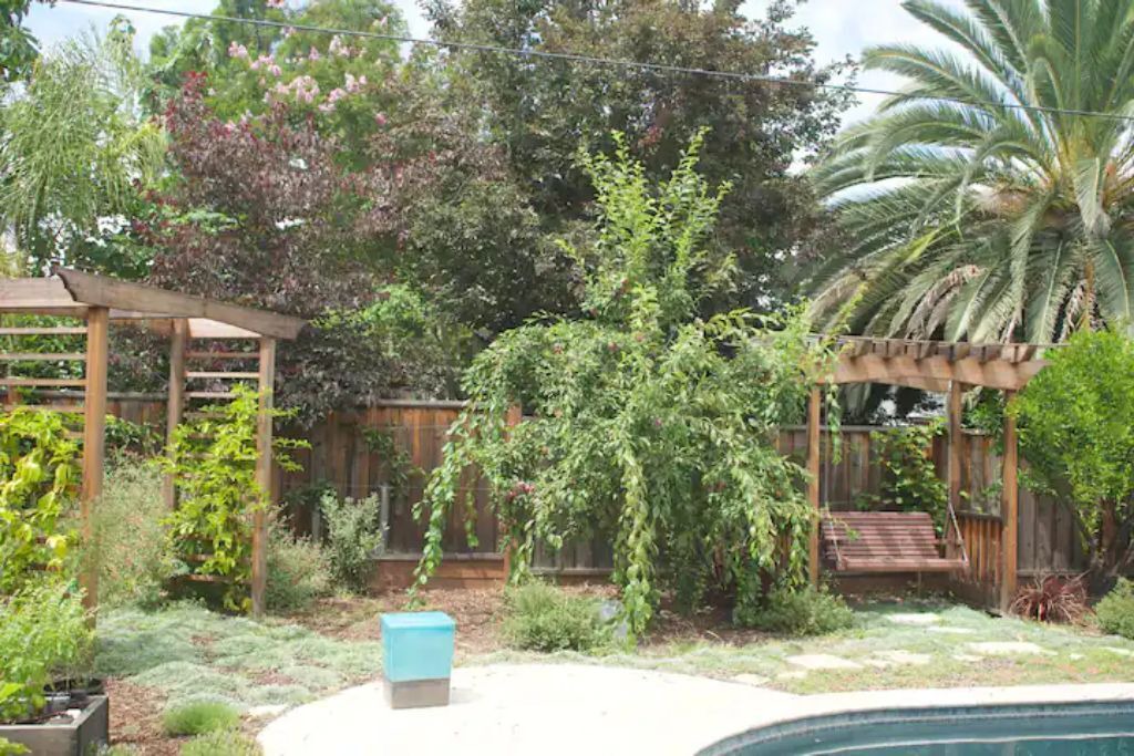 Photo of Outdoor in Sunnyvale West