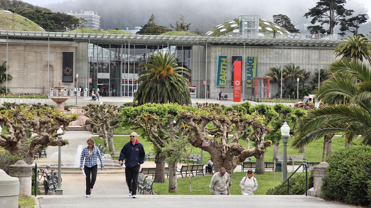 Photo of Outdoor in Richmond District