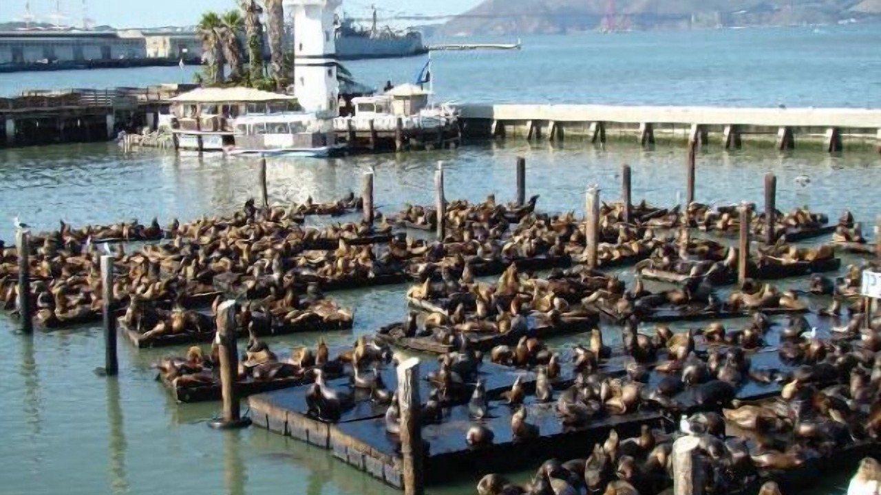 Photo of Others in Eureka Valley