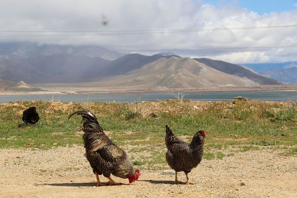 Photo of Others in Lake Isabella