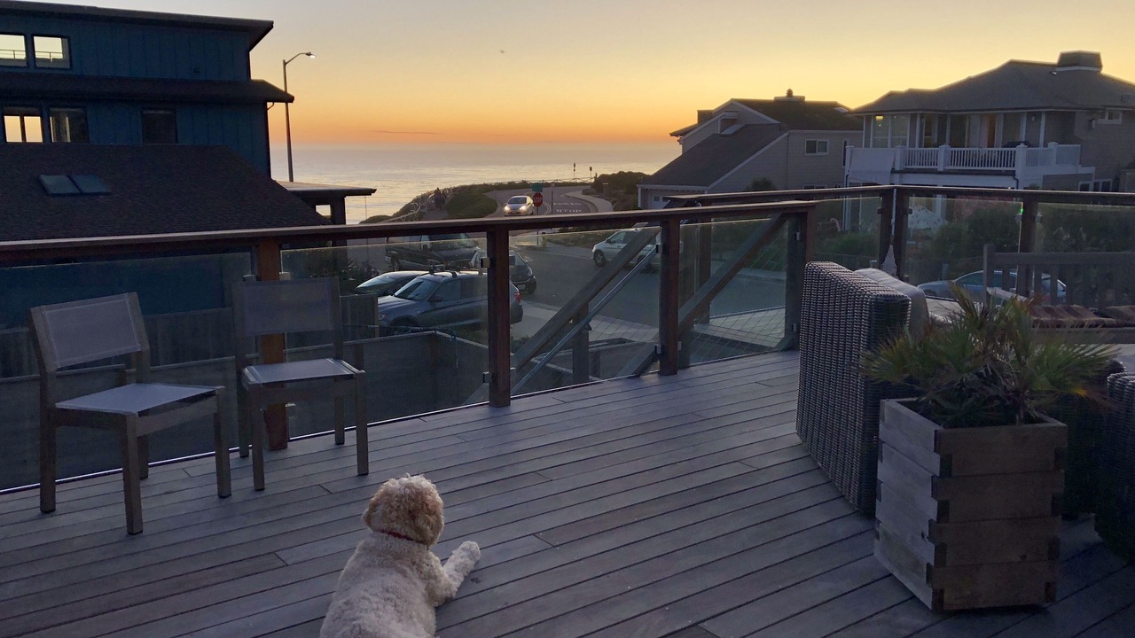 Photo of Others in Westside Santa Cruz