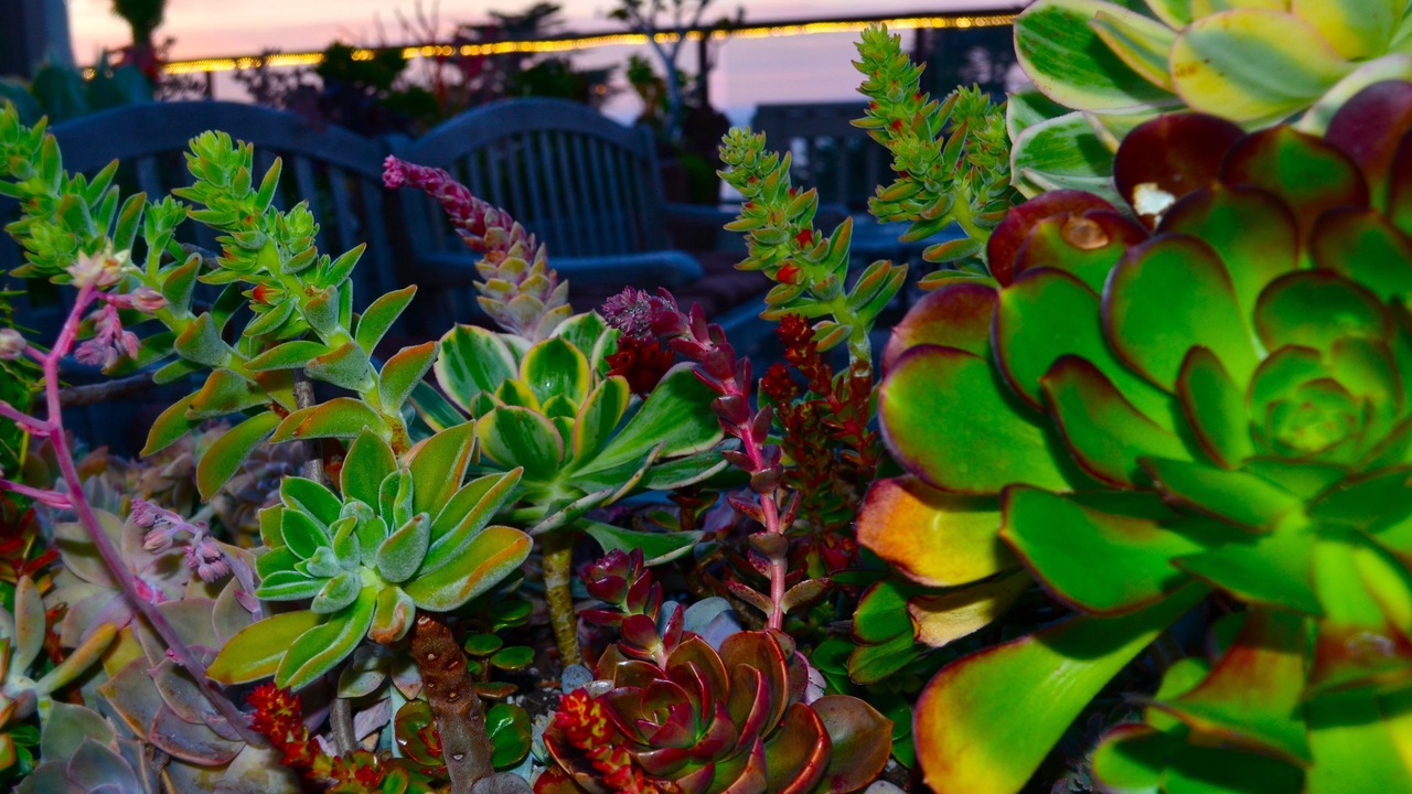 Photo of Outdoor in Downtown Monterey