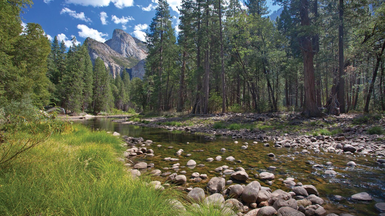 Photo of Outdoor in Bass Lake