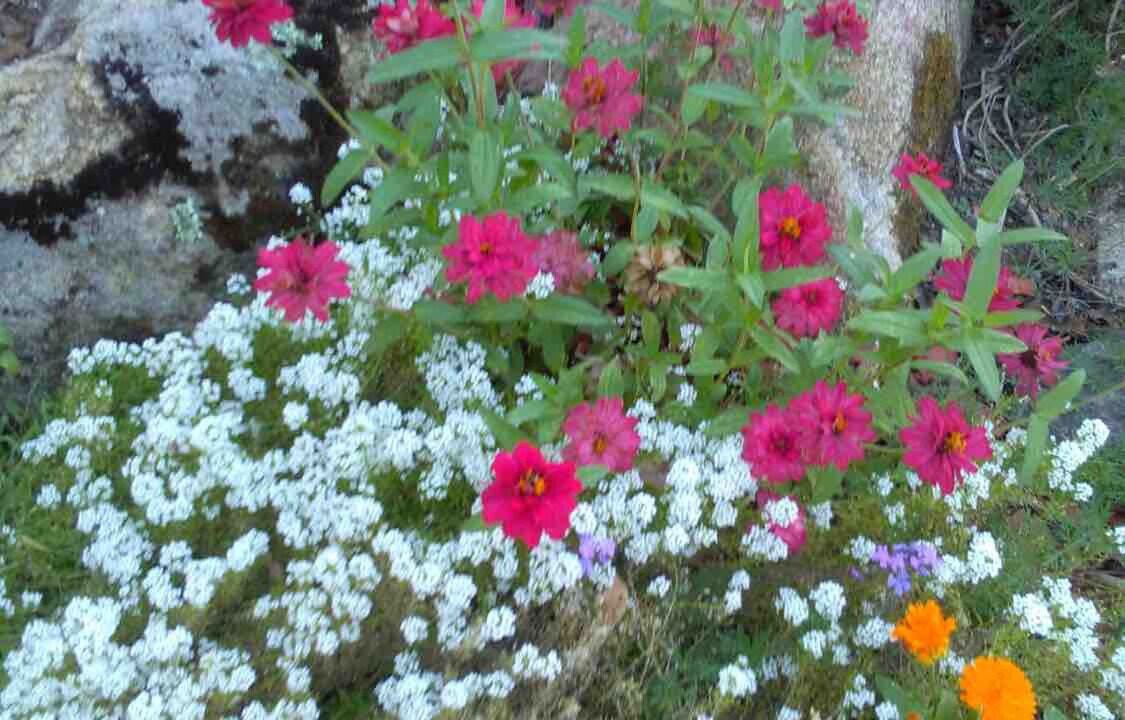 Photo of Outdoor in Coarsegold