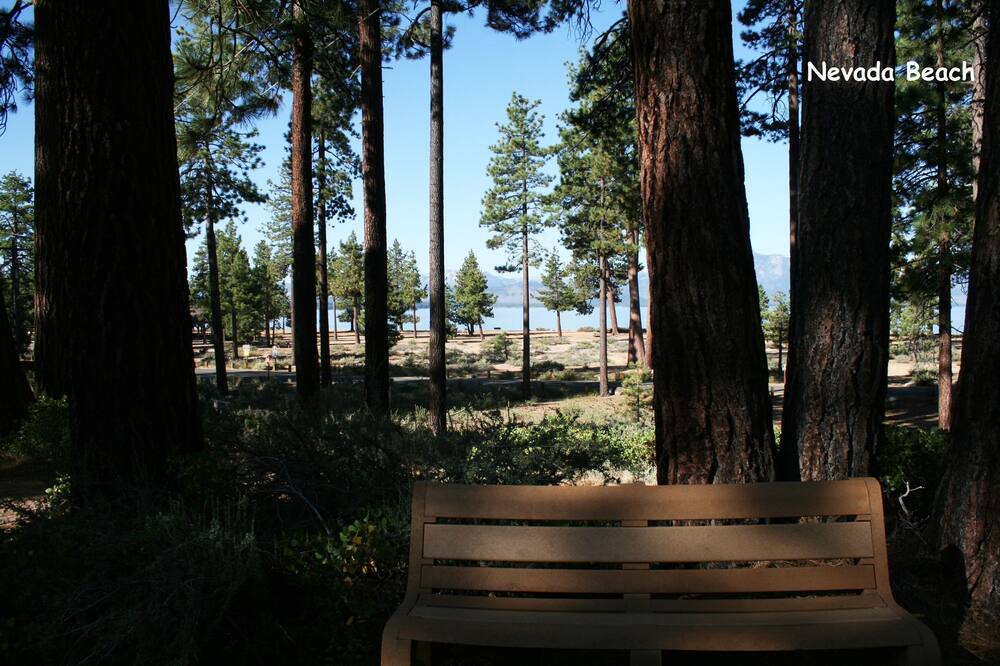 Photo of Outdoor in Upper Kingsbury