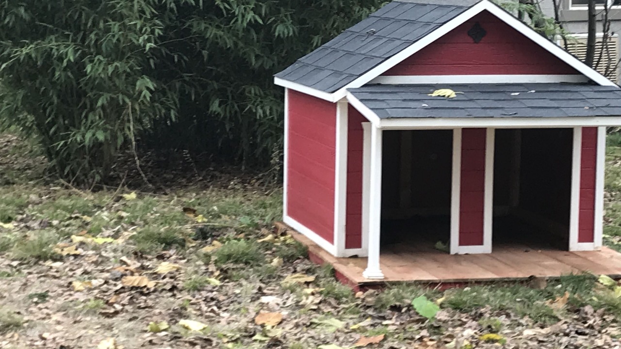 Photo of Outdoor in Redding